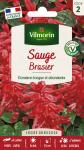 Fleurs - Sauge Brasier - PACKAGING_RECTO